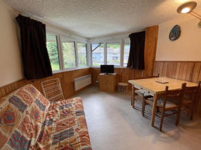 Studio cosy au cœur de la station - 4 pers, proche pistes, commerces et patinoire - FR-1-787-43
